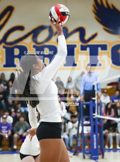 Thumbnail 3 in Amador Valley @ Foothill (CIFNCS D1 Semifinals) photogallery.