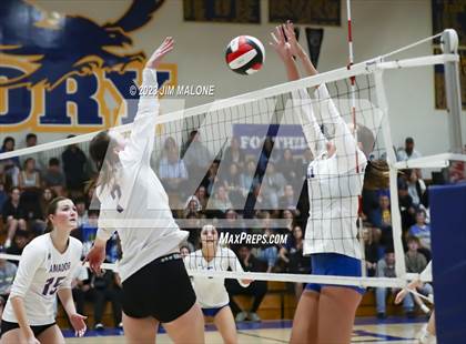Thumbnail 3 in Amador Valley @ Foothill (CIFNCS D1 Semifinals) photogallery.