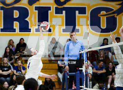 Thumbnail 2 in Amador Valley @ Foothill (CIFNCS D1 Semifinals) photogallery.