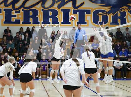 Thumbnail 1 in Amador Valley @ Foothill (CIFNCS D1 Semifinals) photogallery.