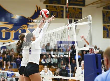 Thumbnail 1 in Amador Valley @ Foothill (CIFNCS D1 Semifinals) photogallery.