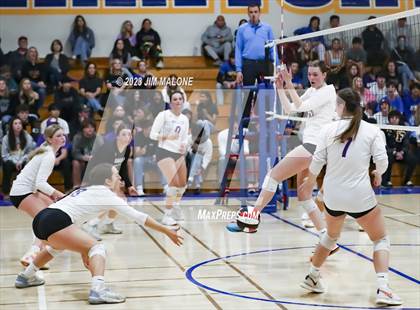Thumbnail 2 in Amador Valley @ Foothill (CIFNCS D1 Semifinals) photogallery.