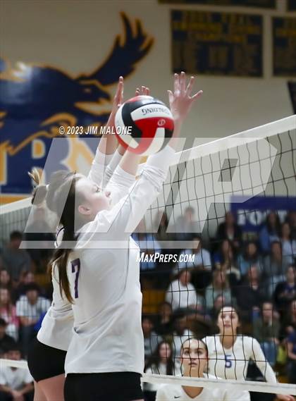 Thumbnail 3 in Amador Valley @ Foothill (CIFNCS D1 Semifinals) photogallery.
