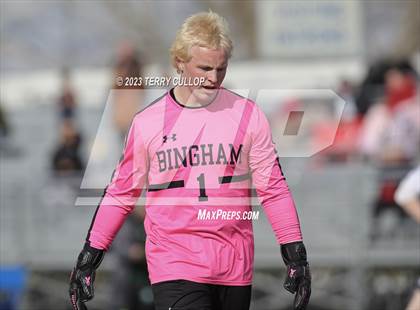 Thumbnail 3 in Copper Hills @ Bingham photogallery.