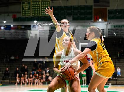 Thumbnail 1 in Plainfield vs Evansville Central photogallery.