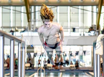 Thumbnail 1 in Sunflower Prelims (Olathe West) photogallery.