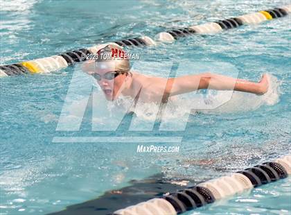 Thumbnail 1 in Sunflower Prelims (Olathe West) photogallery.