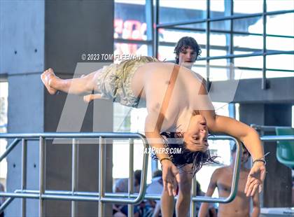 Thumbnail 3 in Sunflower Prelims (Olathe West) photogallery.