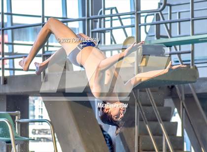 Thumbnail 2 in Sunflower Prelims (Olathe West) photogallery.