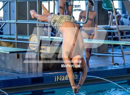 Thumbnail 1 in Sunflower Prelims (Olathe West) photogallery.
