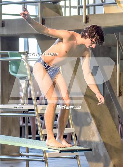 Thumbnail 1 in Sunflower Prelims (Olathe West) photogallery.