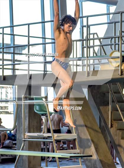 Thumbnail 3 in Sunflower Prelims (Olathe West) photogallery.
