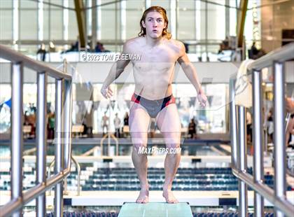 Thumbnail 1 in Sunflower Prelims (Olathe West) photogallery.