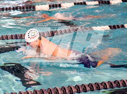 Thumbnail 1 in Sunflower Prelims (Olathe West) photogallery.