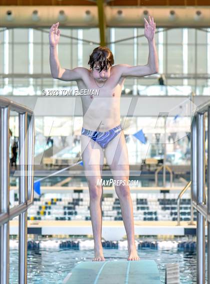 Thumbnail 3 in Sunflower Prelims (Olathe West) photogallery.