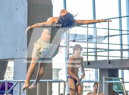 Thumbnail 2 in Sunflower Prelims (Olathe West) photogallery.