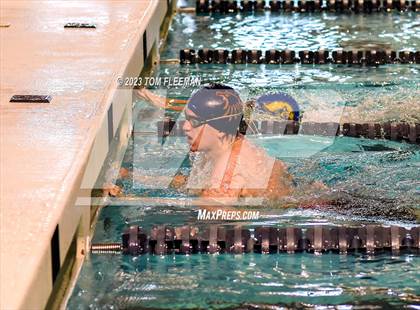 Thumbnail 1 in Sunflower Prelims (Olathe West) photogallery.