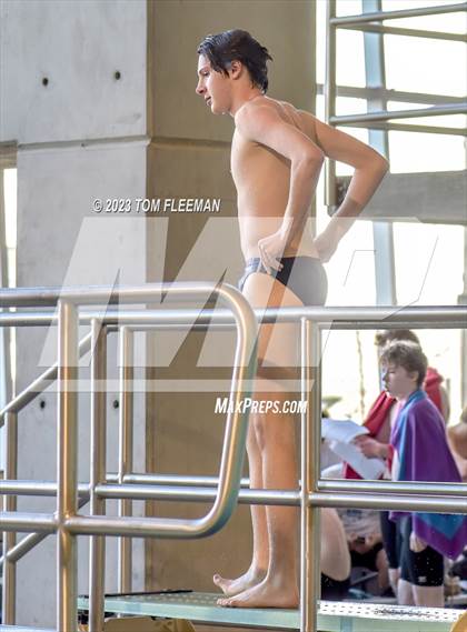 Thumbnail 1 in Sunflower Prelims (Olathe West) photogallery.