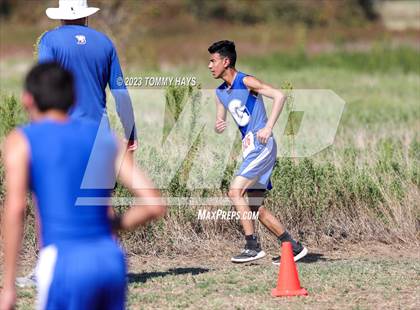 Thumbnail 2 in Brock Cross Country Meet photogallery.