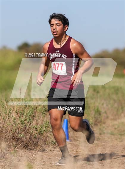 Thumbnail 2 in Brock Cross Country Meet photogallery.