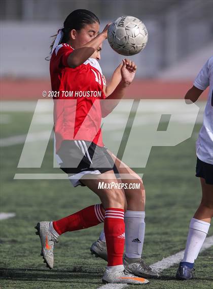 Thumbnail 2 in St. Lucy's vs. Gladstone photogallery.