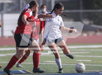 Thumbnail 3 in St. Lucy's vs. Gladstone photogallery.