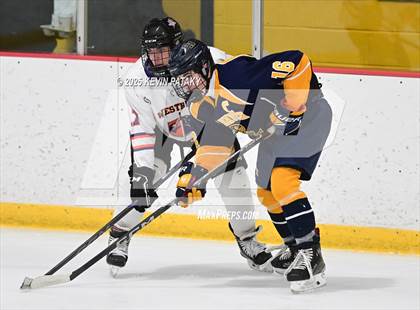 Thumbnail 2 in East Haven @ Westhill/Stamford photogallery.