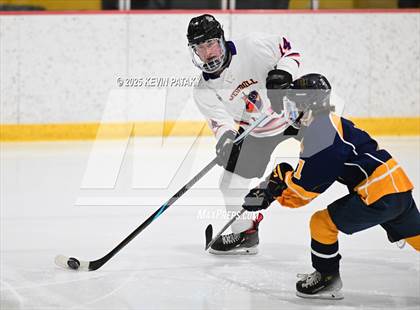 Thumbnail 3 in East Haven @ Westhill/Stamford photogallery.