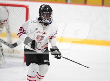 Thumbnail 1 in East Haven @ Westhill/Stamford photogallery.