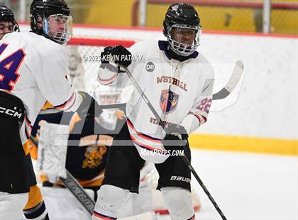 Thumbnail 3 in East Haven @ Westhill/Stamford photogallery.