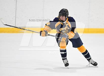 Thumbnail 2 in East Haven @ Westhill/Stamford photogallery.