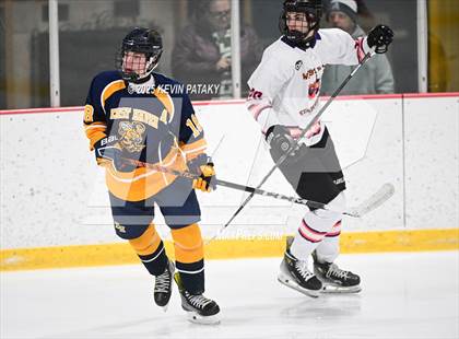 Thumbnail 2 in East Haven @ Westhill/Stamford photogallery.