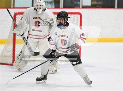 Thumbnail 1 in East Haven @ Westhill/Stamford photogallery.
