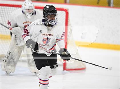 Thumbnail 3 in East Haven @ Westhill/Stamford photogallery.