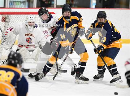 Thumbnail 1 in East Haven @ Westhill/Stamford photogallery.