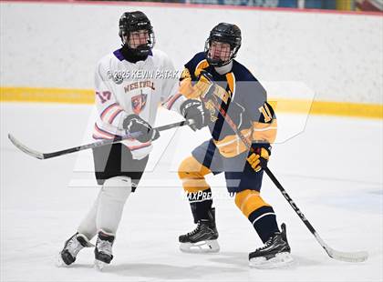 Thumbnail 1 in East Haven @ Westhill/Stamford photogallery.