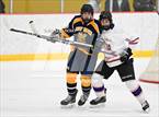 Photo from the gallery "East Haven @ Westhill/Stamford"