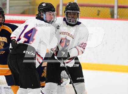 Thumbnail 2 in East Haven @ Westhill/Stamford photogallery.