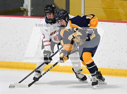 Thumbnail 1 in East Haven @ Westhill/Stamford photogallery.