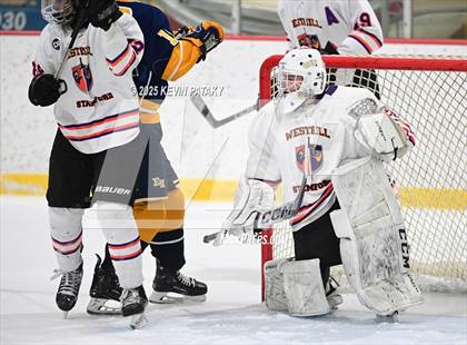 Thumbnail 2 in East Haven @ Westhill/Stamford photogallery.
