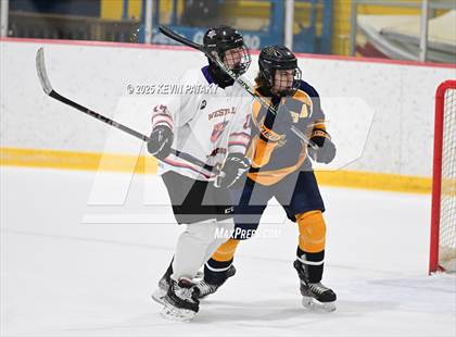 Thumbnail 1 in East Haven @ Westhill/Stamford photogallery.