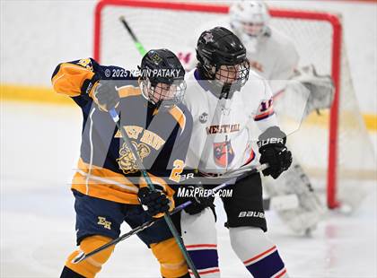 Thumbnail 2 in East Haven @ Westhill/Stamford photogallery.