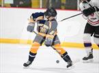 Photo from the gallery "East Haven @ Westhill/Stamford"