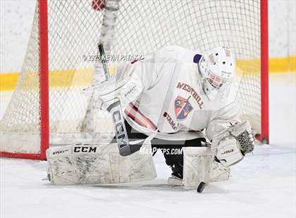 Thumbnail 1 in East Haven @ Westhill/Stamford photogallery.
