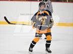 Photo from the gallery "East Haven @ Westhill/Stamford"