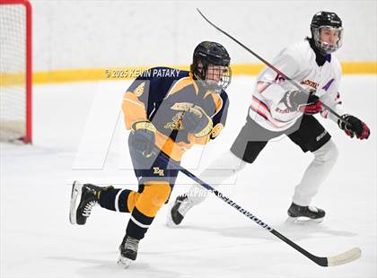 Thumbnail 1 in East Haven @ Westhill/Stamford photogallery.