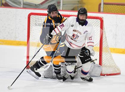 Thumbnail 2 in East Haven @ Westhill/Stamford photogallery.