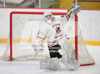 Thumbnail 3 in East Haven @ Westhill/Stamford photogallery.