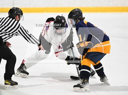 Thumbnail 2 in East Haven @ Westhill/Stamford photogallery.
