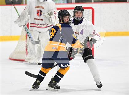 Thumbnail 3 in East Haven @ Westhill/Stamford photogallery.